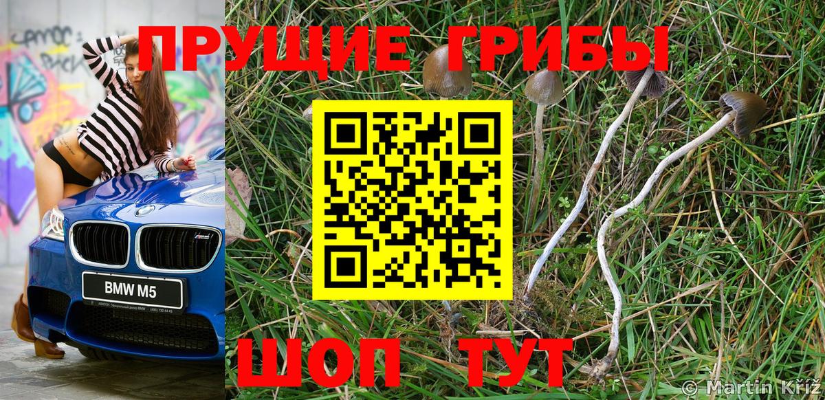 Псилоцибиновые грибы Magic Shrooms Комсомольск-на-Амуре