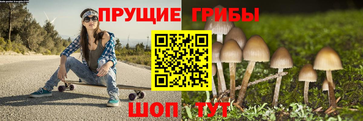Псилоцибиновые грибы прущие грибы  Вход с VPN  Комсомольск-на-Амуре  Псилоцибиновые грибы мухоморы 
